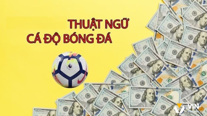 Thuật ngữ cá độ bóng đá vô cùng đơn giản với tân thủ