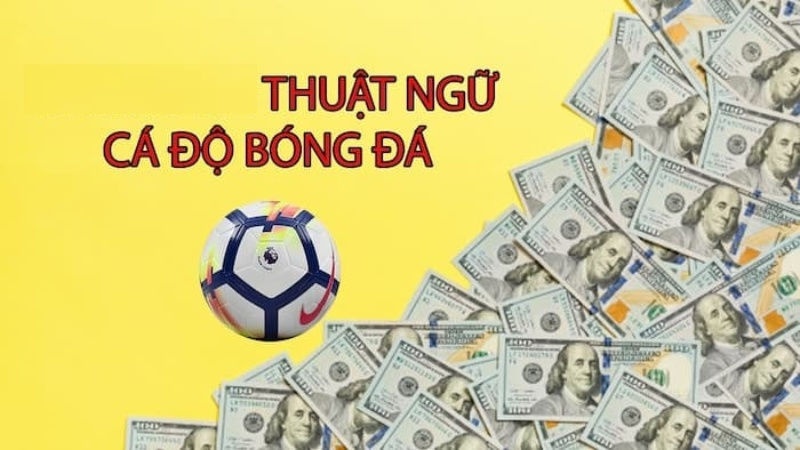 Thuật ngữ cá độ bóng đá mới nhất - Những kiểu cá độ phổ biến