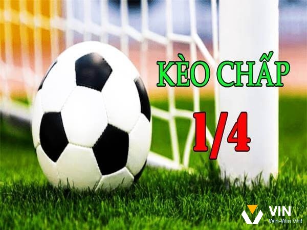 Kèo 1 1/4 là gì tính điểm vô cùng đơn giản tại vin68!