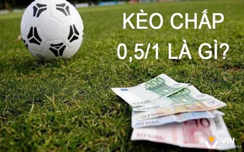 Kèo 1/2 là gì là điều được nhiều người quan tâm 