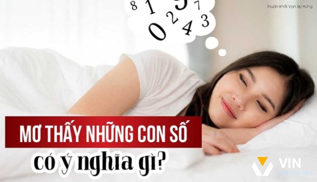 Thực hiện giải mã giấc mơ theo ngày tháng năm sinh