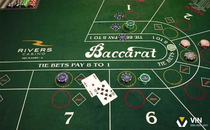 Những dạng cược phổ biến trong bacccarat