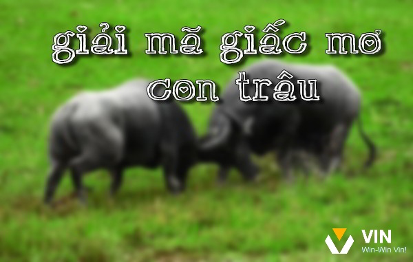 Mơ thấy giết trâu đánh con gì để tắng tỷ lệ thắng?