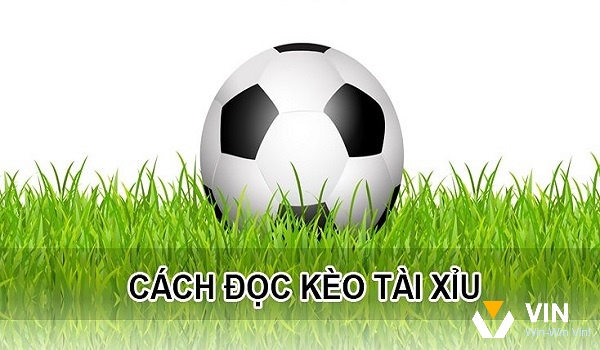 Kèo tài xỉu 2 3 4 là sao khi so sánh với các loại kèo khác?