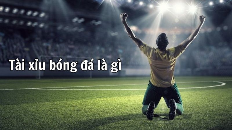 Cách xem kèo tài xỉu bóng đá chính xác cho người mới bắt đầu