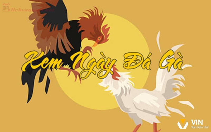 Lý thuyết Âm Dương có vai trò then chốt trong cách xem ngày đá gà theo phong thủy