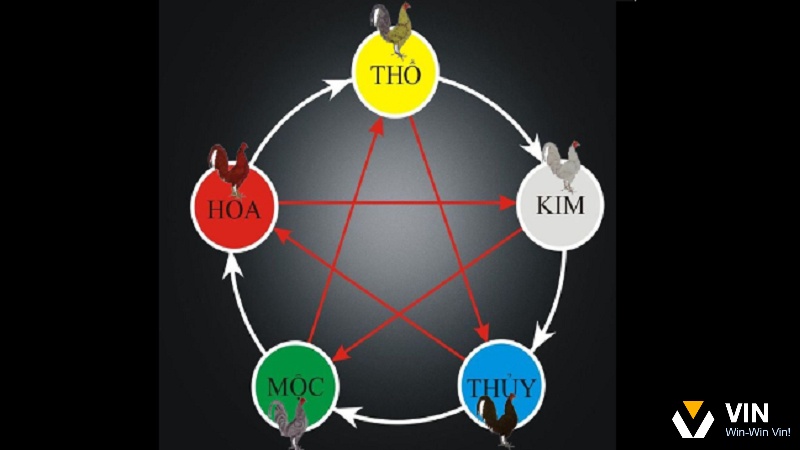 Bước đầu tiên trong cách xem ngày đá gà theo tuổi là xác định chính xác năm sinh và mệnh của chủ gà