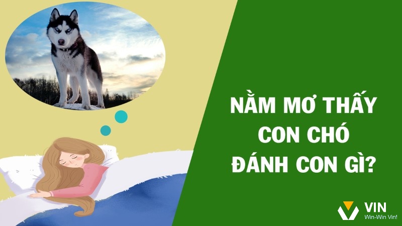 Giải mã giấc mơ thấy con chó sẽ giúp bạn trúng đề 