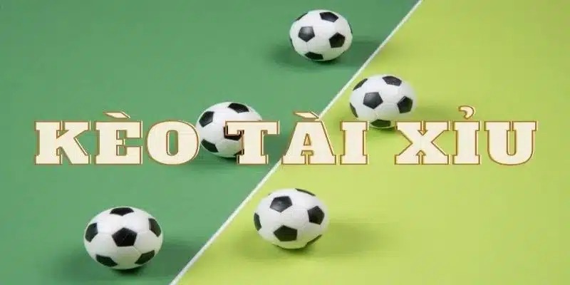 Cách chơi tài xỉu đá banh: Hướng dẫn từ A-Z chi tiết