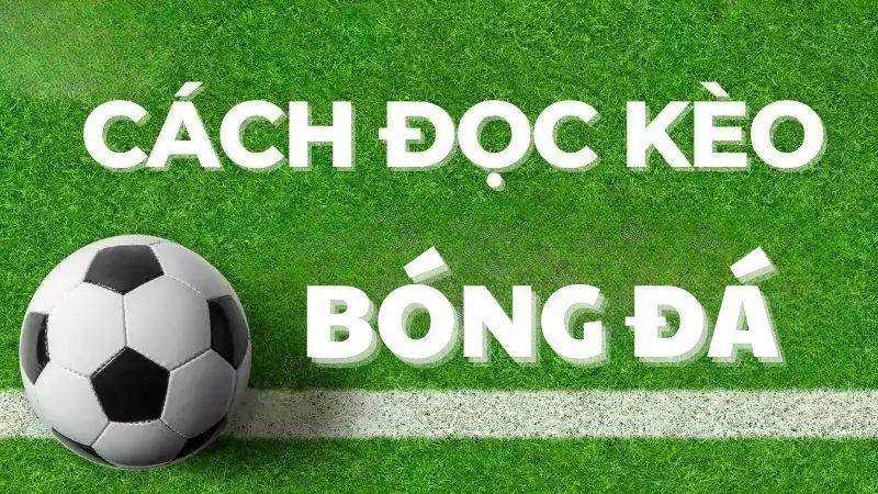 Kèo tài xỉu 0.5 là gì? Giải mã chi tiết và cách đọc kèo chuẩn