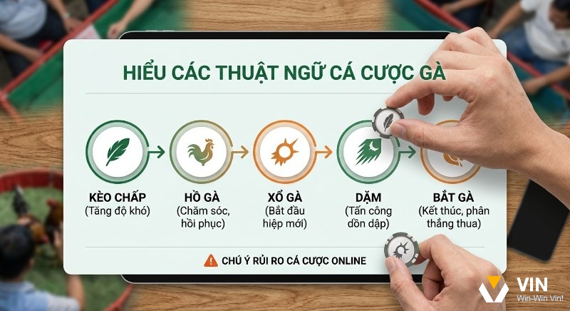 Tổng quan các thuật ngữ cá cược gà trên sàn đấu từ kèo chấp, hồ gà đến bắt gà, giúp người chơi hiểu rõ luật