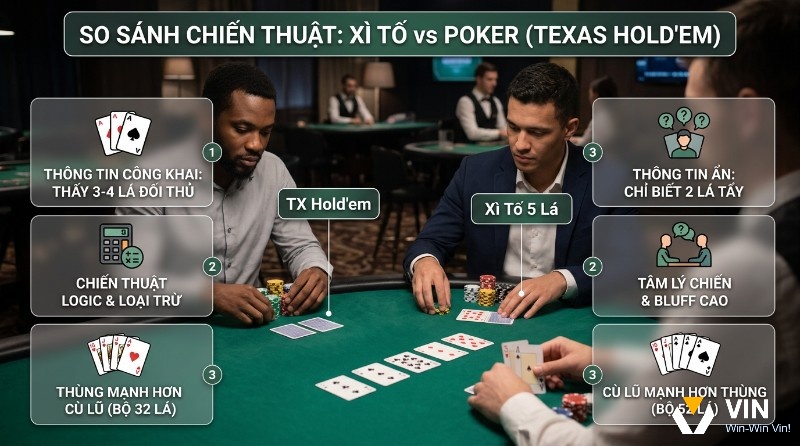 So sánh chiến thuật Xì Tố 5 lá và Poker Texas Hold'em: Xì Tố lộ bài, dùng logic, Thùng > Cù lũ (32 lá); Poker ẩn bài, tâm lý chiến, Cù lũ > Thùng (52 lá)